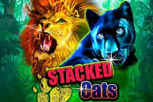 Stacked Cats 